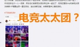 绿毛怼爆料者完整视频,完整视频揭露真相全貌