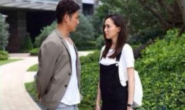 何以赵默笙电视剧全集,甜蜜爱情与成长历程的完美交织