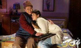 二婶电视剧演员表,实力派演员阵容演绎温情故事