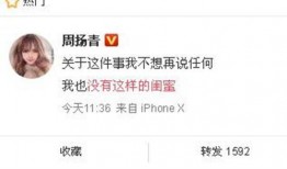 中学生新闻爆料网官网,青少年视角下的时事报道平台