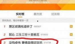 卓伟爆料杨颖跑男视频,杨颖视频曝光，卓伟揭秘背后真相