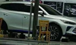 比亚迪高管爆料新闻最新,揭秘新能源汽车产业未来趋势与挑战