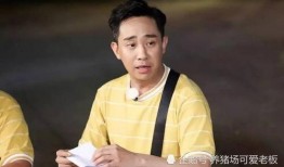 白凯南电视剧,演绎人生百态，电视剧中的情感盛宴