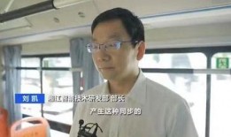 刘凯最新爆料视频,幕后真相大曝光！