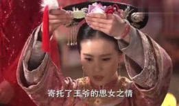 大清蒙古王电视剧,蒙古王权下的爱恨情仇