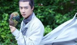 张丹峰电视剧,情感纠葛与命运抉择的电视剧故事