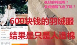 网红爆料小哥视频播放,揭秘热门事件幕后真相