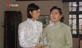 玉卿嫂电视剧,情感纠葛与命运抉择的悲歌