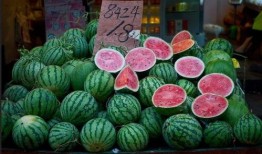 新瓜最新爆料魔都,新瓜爆料揭开都市神秘面纱