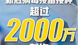 湖北新冠病毒爆料视频,湖北新冠病毒爆料视频揭露惊人真相