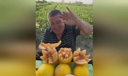 助农免费吃瓜,免费吃瓜盛宴，共享丰收喜悦