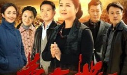 电视剧黄大妮,逆境中的坚韧与成长