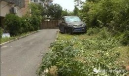 竹林小区新闻爆料事件真相,揭开真相背后的真相