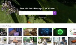 抖音网友爆料的素材视频,揭秘素材视频背后的惊人真相！