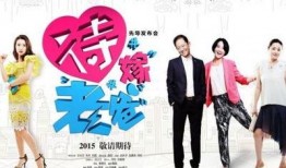 待嫁老爸电视剧演员表,实力派明星齐聚一堂，演绎温馨家庭故事