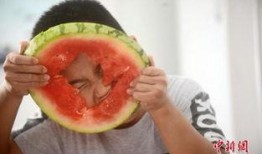 吃瓜料在线免费观看,吃瓜料在线观看盛宴