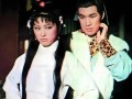 米雪主演的电视剧大全,从射雕英雄传到宫心计