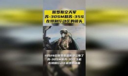 天军在线观看,天军在线观看之旅