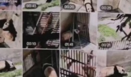 赣州爆料走丢事件视频,视频还原惊心动魄寻人过程