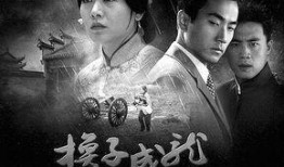 换子成龙电视剧演员表,实力派明星齐聚演绎感人故事