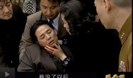 延安颂电视剧,红色岁月的青春赞歌