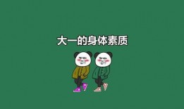 爆料沙雕动画视频大全,爆笑集结！沙雕动画视频大全盘点