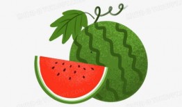 吃瓜贴纸素材下载免费,免费下载吃瓜贴纸，趣味生活瞬间开启