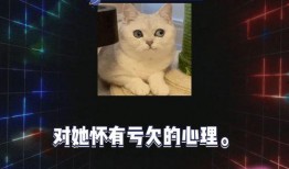娱乐圈吃瓜素材视频网站,吃瓜素材网站带你领略明星幕后故事