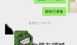 绿毛怼爆料者完整视频,完整视频揭露真相全貌