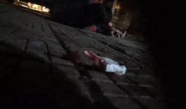 女子打架爆料视频播放下载,火爆场面引发网友热议