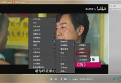 小李邻居爆料视频播放,一场惊心动魄的邻里冲突