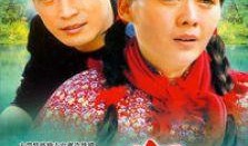 哑妹电视剧剧情介绍,揭开哑女命运之谜，探寻爱与救赎的感人篇章