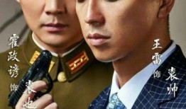 王雷主演的电视剧大全,情感与现实的交织演绎