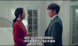 夫妻关系爆料视频大全集,揭秘婚姻背后的真实故事