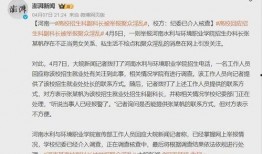 宁都学生爆料案件视频,真相背后引人深思