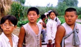 小兵张嘎电视剧,抗日烽火中的少年英雄传奇