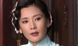 何赛飞演的所有电视剧,跨越时代与角色的精彩演绎