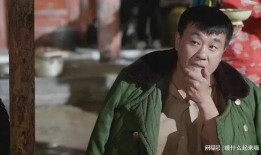 何冰主演的电视剧大全,演技派实力派，经典作品盘点