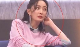 娱乐吃瓜晨晨,娱乐圈新鲜事大揭秘