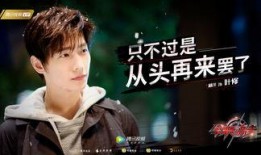内部人爆料杨洋视频在线观看,杨洋私密视频在线观看，真相揭秘