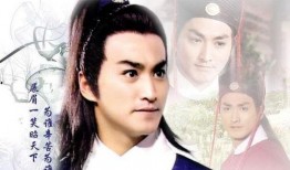 何家劲电视剧,侠骨柔情，英雄本色