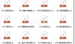 爆料搞笑模板大全视频播放,揭秘爆料模板大全，笑料百出，笑到肚子疼！