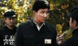 于无声处电视剧演员表,实力派齐聚演绎谍战风云