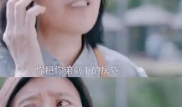 养女 电视剧,命运交织的亲情救赎