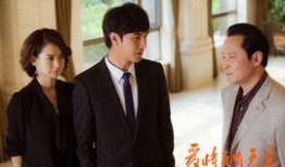 爱情自有天意电视剧全集,命运交织的浪漫传奇