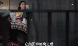 乐队小姐姐爆料视频播放,幕后故事大公开