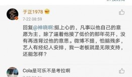 娱乐圈吃瓜被告