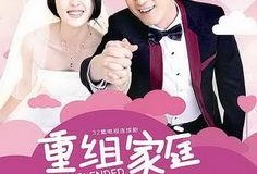 重组家庭电视剧,爱与挑战的交响曲