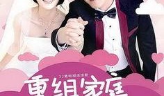 重组家庭电视剧,爱与挑战的交响曲
