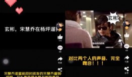 宋慧乔被老公爆料视频,真相背后引热议